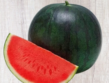 F1-Angle Watermelon