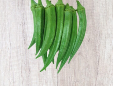 F1-Hina Bhindi