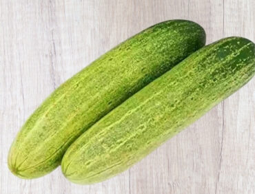F1-Suchitra Cucumber