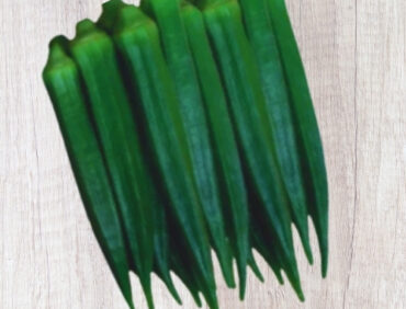 F1-Zeenat Bhindi