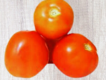 F1-Sumit 5005 Tomato