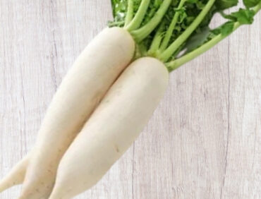 F1-Super Star Radish